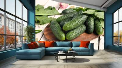 Board with fresh cucumbers for preservation on light wooden background Wall mural