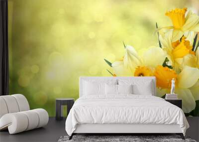 Bouquet of beautiful daffodils on blurred background Wall mural