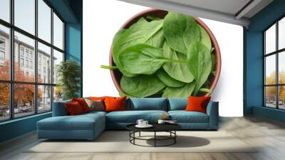 Bowl with fresh spinach on white background Wall mural