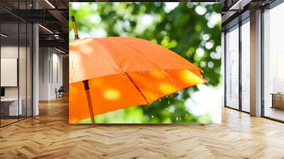 Bright umbrella outdoors on rainy day Wall mural