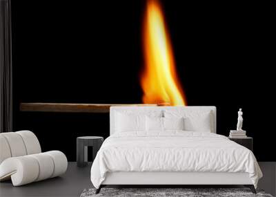 Burning match on dark background Wall mural