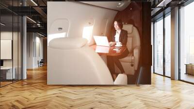 Businesswoman with laptop on board the modern private airplane Wall mural