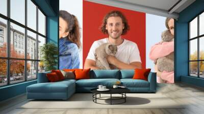 Collage with different people and their cute cats on color background Wall mural