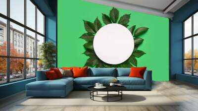 Composition with blank paper sheet and beautiful grape leaves on green background Wall mural