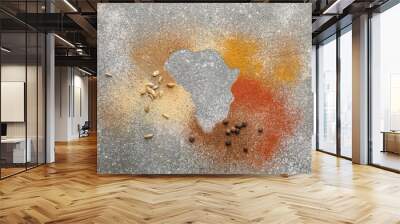 Continent Africa made of spices on grey background Wall mural