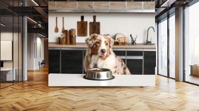 Cute Australian Shepherd dog sitting with bowl of dry food at table in kitchen Wall mural