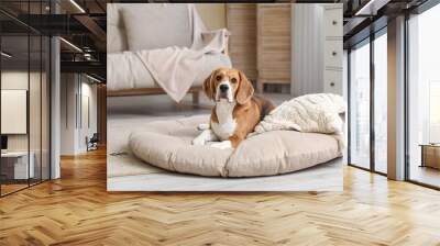 Cute Beagle dog in pet bed in living room Wall mural