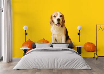 Cute Beagle dog with fresh pumpkins and autumn leaves on yellow background Wall mural