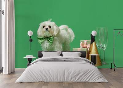 Cute Bolognese dog in bowtie celebrating Birthday with champagne, cake and gift boxes on green background Wall mural