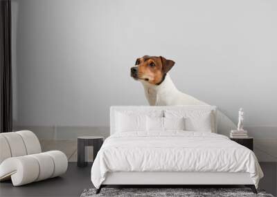 Cute dog and bowl with fresh vegetables on floor near light wall Wall mural