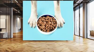 Cute dog near bowl with dry food on color background Wall mural