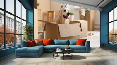 Cute Labrador dog sitting in box on moving day at home Wall mural