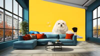 Cute Maltese dog with soap bubbles and groomer accessories on yellow background Wall mural