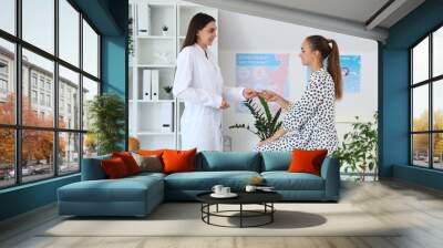 Female gynecologist giving condom to patient in clinic Wall mural