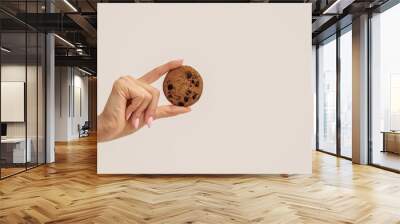 Female hand holding sweet cookie with chocolate chips on white background Wall mural