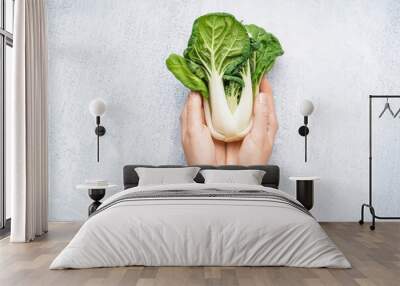 Female hands with fresh pak choi cabbage on light background Wall mural