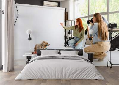 Female photographer taking picture of Australian Shepherd dog with toys in studio Wall mural