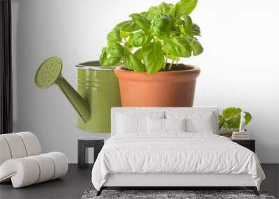 Fresh basil in pot and gardening tools on white background Wall mural