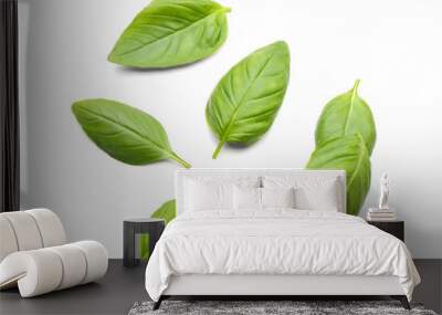 Fresh basil leaves on white background Wall mural