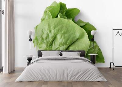 Fresh Boston lettuce on white background Wall mural