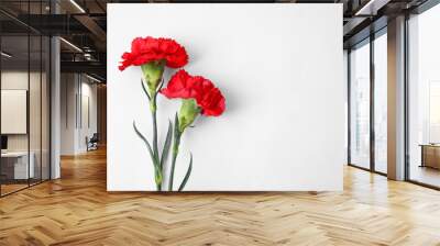 Fresh carnation flowers on white background Wall mural