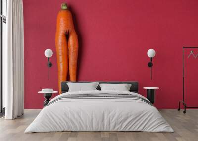 Fresh carrot on color background. Erotic concept Wall mural