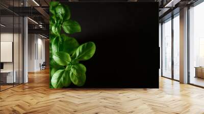 Fresh green basil on black background, closeup Wall mural