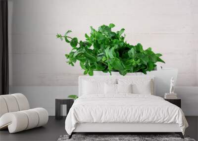 Fresh green mint in basket on white wooden background Wall mural