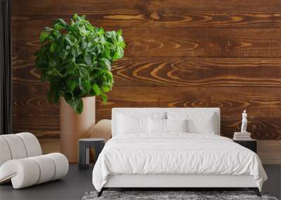 Fresh green mint on wooden background Wall mural