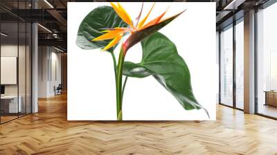 Fresh tropical leaves on white background Wall mural