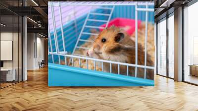 Funny hamster eating seed in cage on color background Wall mural