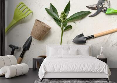 Gardening supplies with plant on white background. Top view Wall mural