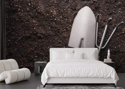 Gardening tools on soil, top view Wall mural