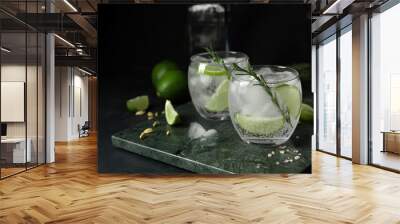 Glasses of cold gin and tonic on dark background Wall mural