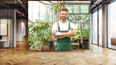 Handsome male gardener in greenhouse Wall mural