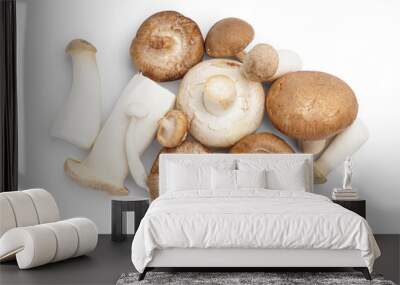 Heap of different fresh mushrooms on white background Wall mural