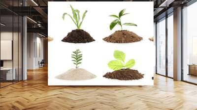 Heaps of different soils with plants on white background Wall mural