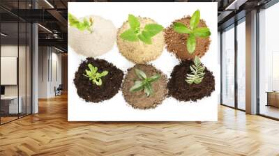 Heaps of different soils with young plants on white background Wall mural