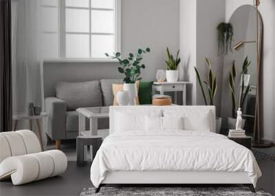 Interior of light living room with sofa, houseplants and vases with eucalyptus Wall mural