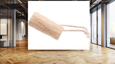 Loofah isolated on white background Wall mural