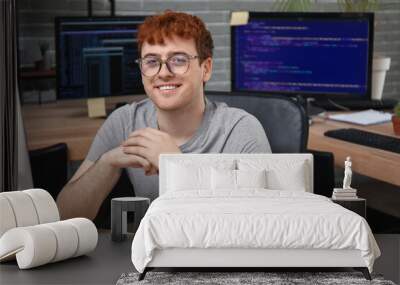 Male programmer working with computer at table in office Wall mural