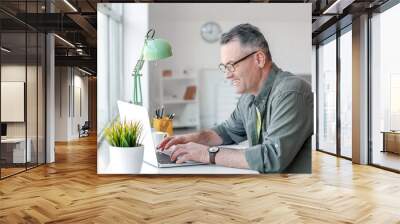 Mature man using laptop at home Wall mural