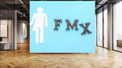 Paper figure of transgender and letters F,M,X on color background Wall mural