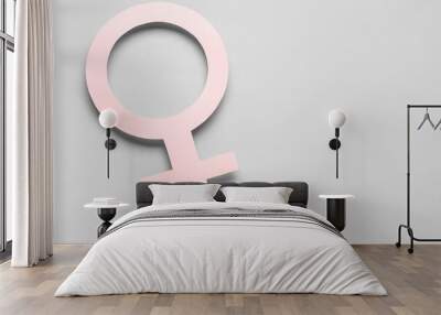 Paper symbol of female on grey background Wall mural