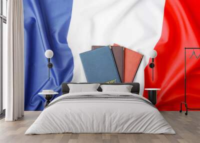 Passports on flag of France. Immigration concept Wall mural