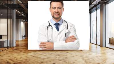 Portrait of male doctor on white background Wall mural