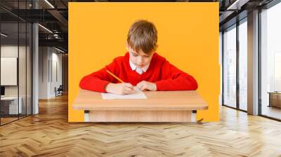 Pupil passing exam against color background Wall mural