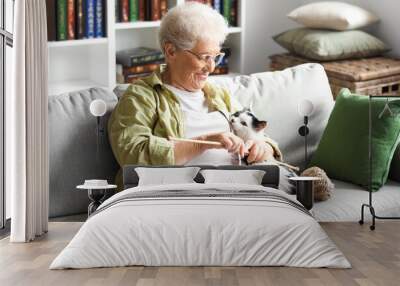 Senior woman with cute cat and knitting needles resting at home Wall mural