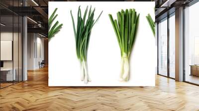 Set of fresh green onion isolated on white Wall mural