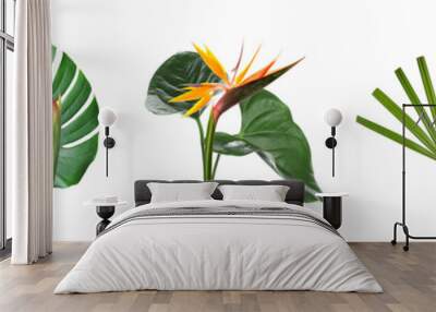 Set of fresh tropical leaves and strelitzia flowers on white background Wall mural